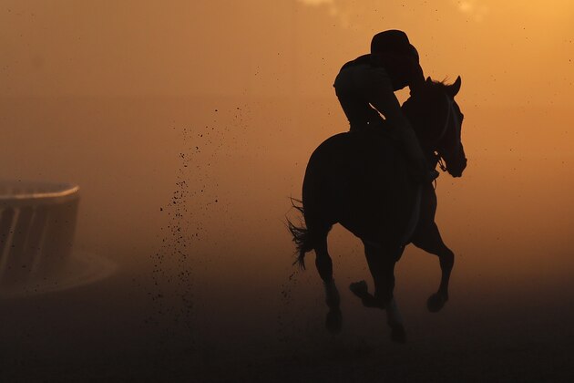 An exercise rider gallops a thoroughbred around the track during a workout at Belmont Park, Tuesday, June 5, 2018, in Elmont, N.Y. Justify will attempt to become the 13th Triple Crown winner when he runs in the 150th running of the Belmont Stakes horse race on Saturday. (AP Photo/Julie Jacobson)