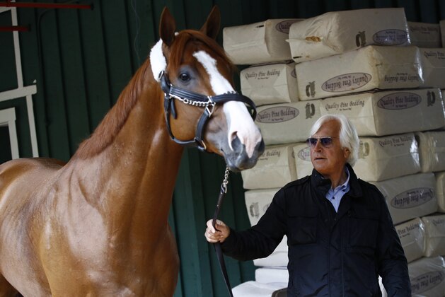 Trainer Bob Baffert walks Kentucky Derby winner Justify in a barn, Wednesday, May 16, 2018, after Justify's arrival at Pimlico Race Course in Baltimore. The Preakness Stakes horse race is scheduled to take place May 19. (AP Photo/Patrick Semansky)
