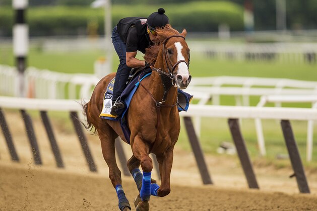ELMONT, NY - JUNE 07: Justify with Humberto Gomez aboard gallops in preparation for the 150th Belmont Stakes at Belmont Park on June 07, 2018 in Elmont, New York. (Photo by Alex Evers/Eclipse Sportswire/Getty Images)