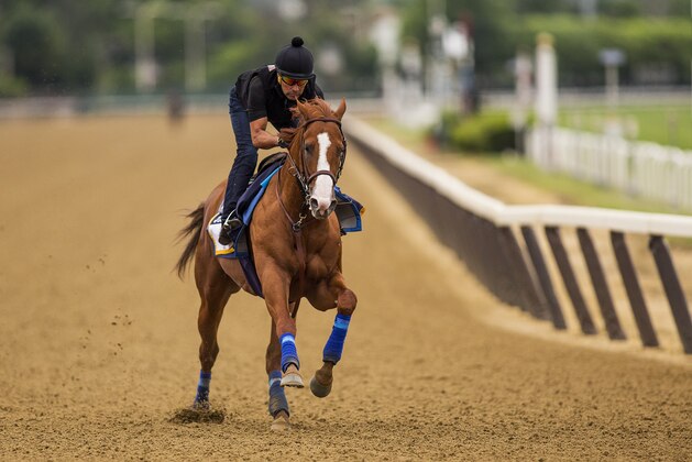 ELMONT, NY - JUNE 07: Justify with Humberto Gomez aboard gallops in preparation for the 150th Belmont Stakes at Belmont Park on June 07, 2018 in Elmont, New York. (Photo by Alex Evers/Eclipse Sportswire/Getty Images) ELMONT, NY - JUNE 07: Justify with Humberto Gomez aboard gallops in preparation for the 150th Belmont Stakes at Belmont Park on June 07, 2018 in Elmont, New York. (Photo by Alex Evers/Eclipse Sportswire/Getty Images)