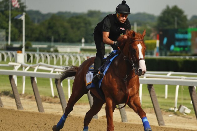 Triple Crown hopeful Justify gallops around the main track during a workout at Belmont Park, Friday, June 8, 2018, in Elmont, N.Y. Justify will attempt to become the 13th Triple Crown winner when he races in the 150th running of the Belmont Stakes horse race on Saturday. (AP Photo/Julie Jacobson)