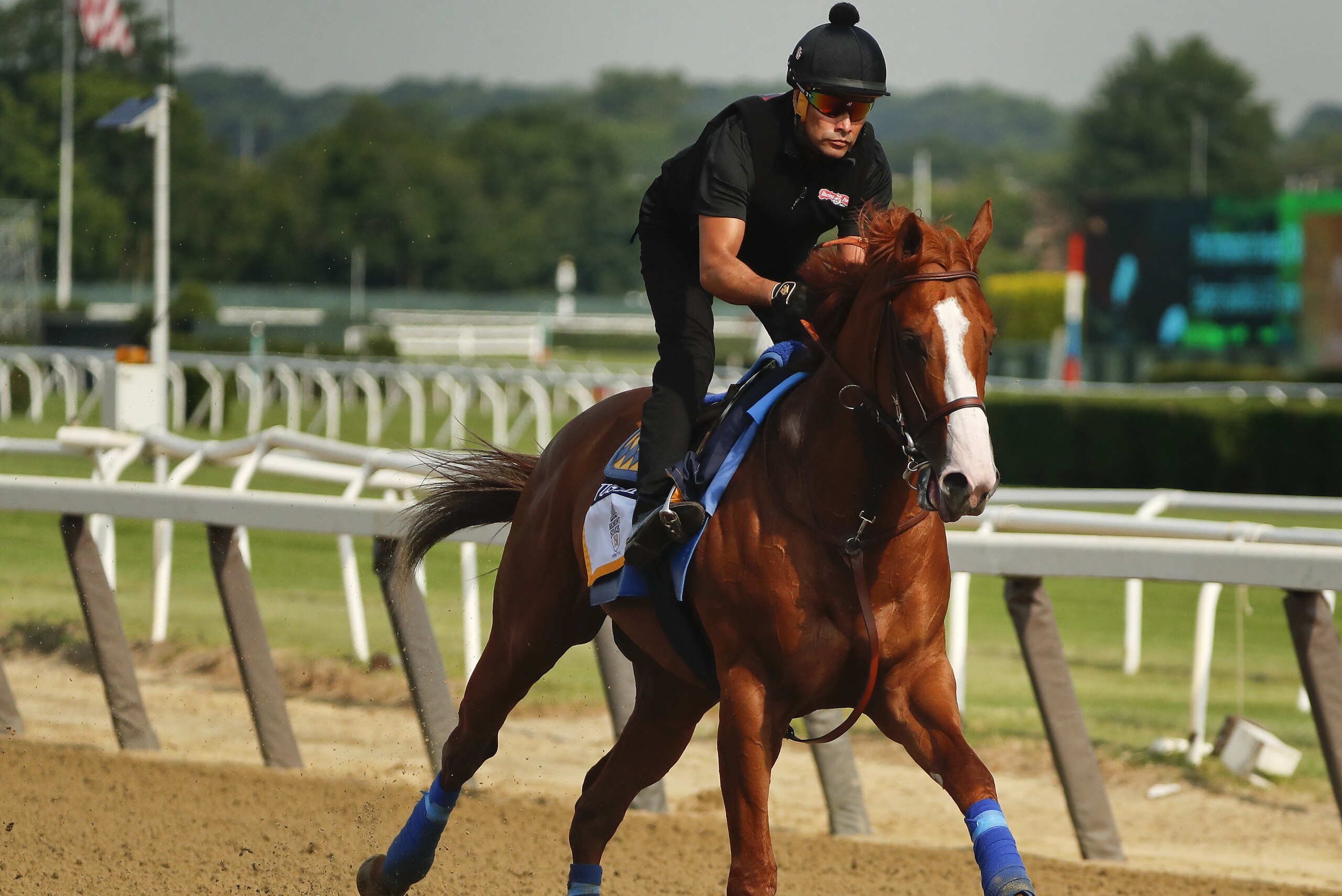 Triple Crown hopeful Justify gallops around the main track during a workout at Belmont Park, Friday, June 8, 2018, in Elmont, N.Y. Justify will attempt to become the 13th Triple Crown winner when he races in the 150th running of the Belmont Stakes horse race on Saturday. (AP Photo/Julie Jacobson)