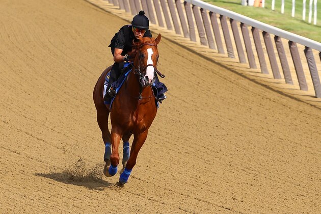 ELMONT, NY - JUNE 08:  Triple Crown and Belmont Stakes contender Justify trains with Humberto Gomez up prior to the 150th running of the Belmont Stakes at Belmont Park on June 8, 2018 in Elmont, New York.  (Photo by Mike Stobe/Getty Images)