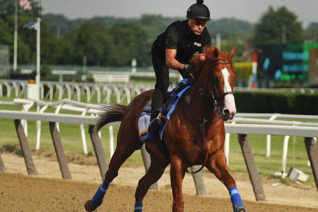 Triple Crown hopeful Justify gallops around the main track during a workout at Belmont Park, Friday, June 8, 2018, in Elmont, N.Y. Justify will attempt to become the 13th Triple Crown winner when he races in the 150th running of the Belmont Stakes horse race on Saturday. (AP Photo/Julie Jacobson)