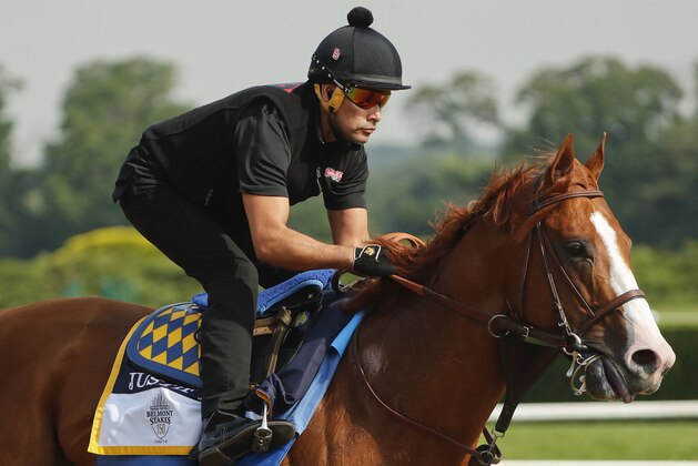 Triple Crown hopeful Justify gallops around the main track during a workout at Belmont Park, Friday, June 8, 2018, in Elmont, N.Y. Justify will attempt to become the 13th Triple Crown winner when he races in the 150th running of the Belmont Stakes horse race on Saturday. (AP Photo/Julie Jacobson)