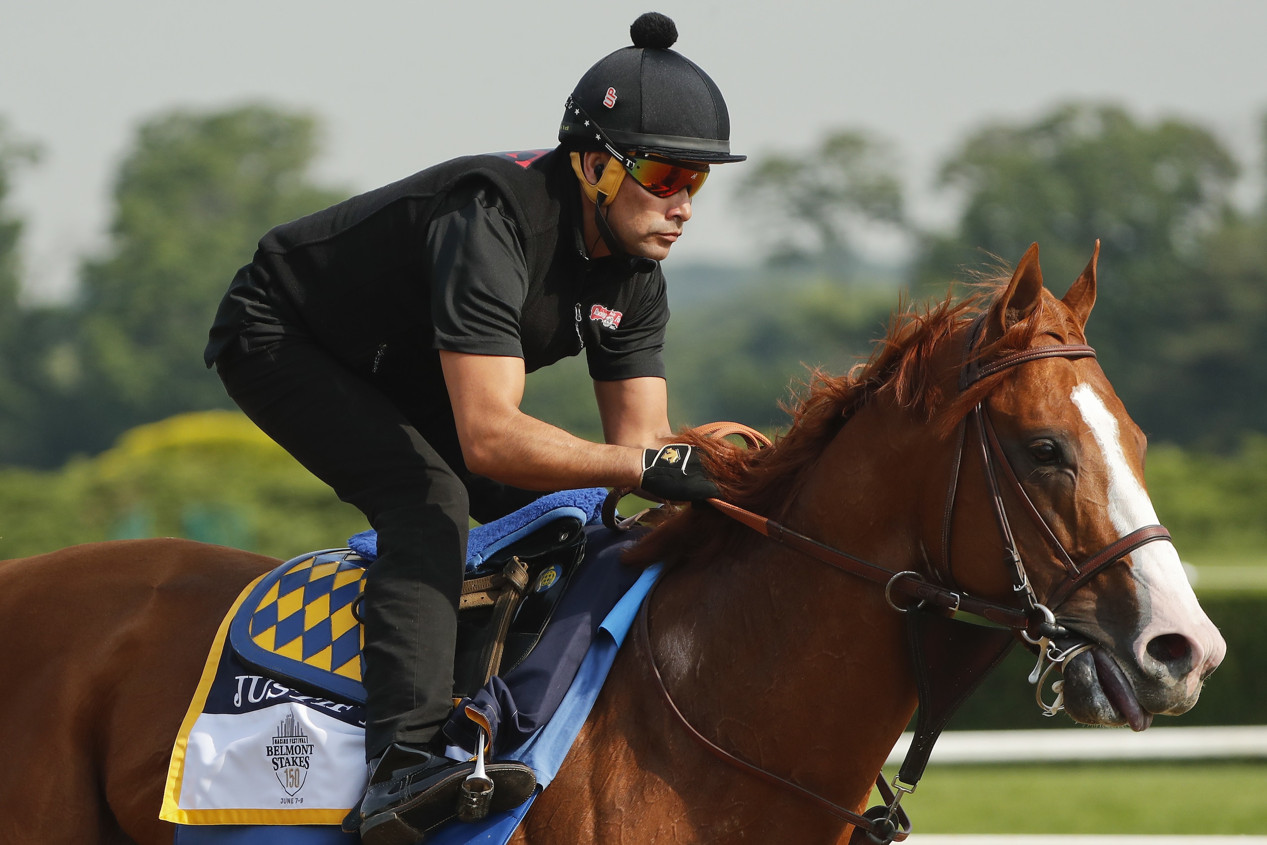 Triple Crown hopeful Justify gallops around the main track during a workout at Belmont Park, Friday, June 8, 2018, in Elmont, N.Y. Justify will attempt to become the 13th Triple Crown winner when he races in the 150th running of the Belmont Stakes horse race on Saturday. (AP Photo/Julie Jacobson)