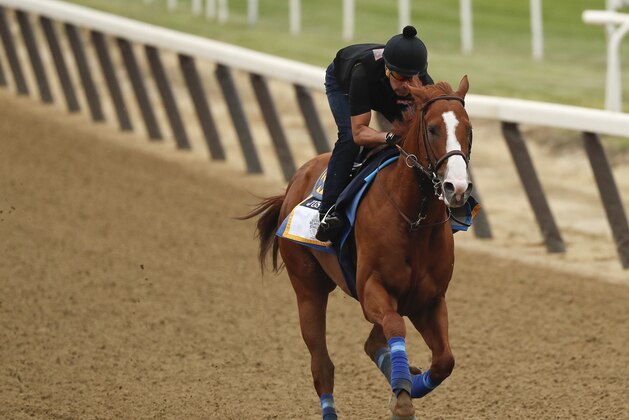Triple Crown hopeful Justify gallops around the track during a workout at Belmont Park, Thursday, June 7, 2018, in Elmont, N.Y. Justify will attempt to become the 13th Triple Crown winner when he races in the 150th running of the Belmont Stakes horse race on Saturday. (AP Photo/Julie Jacobson)