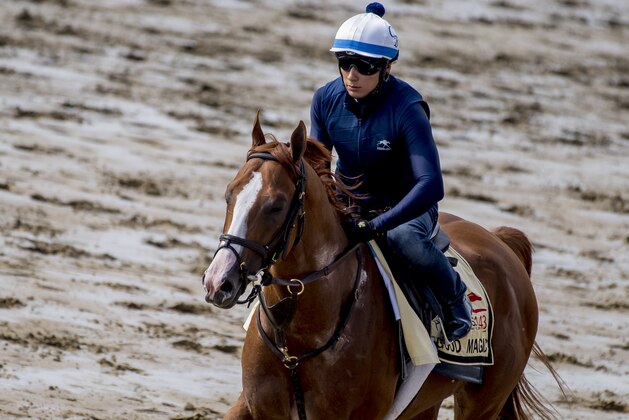BALTIMORE, MD - MAY 15: Good Magic gallops as he trains for the Preakness at Pimlico Race Course on May 15, 2018 in Baltimore, Maryland (Photo by Scott Serio/Eclipse Sportswire/Getty Images)