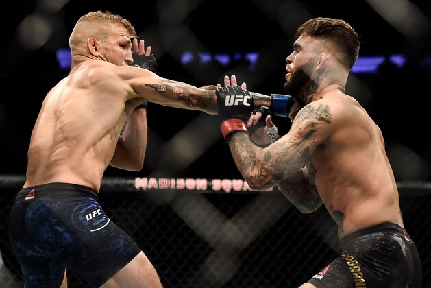 NEW YORK, NY - NOVEMBER 04:  (L-R) TJ Dillashaw punches Cody Garbrandt in their UFC bantamweight championship bout during the UFC 217 event inside Madison Square Garden on November 4, 2017 in New York City. (Photo by Brandon Magnus/Zuffa LLC/Zuffa LLC via Getty Images)