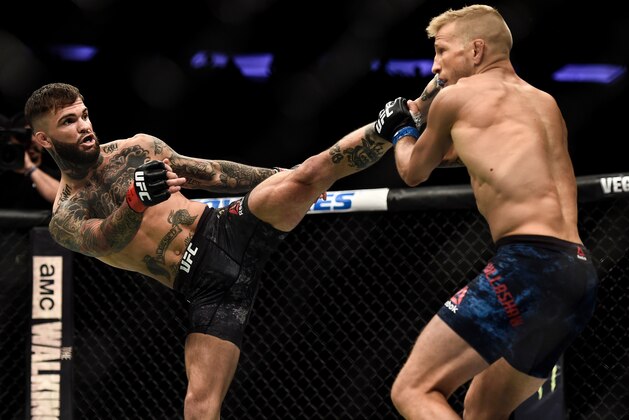 NEW YORK, NY - NOVEMBER 04:  (R-L) Cody Garbrandt kicks TJ Dillashaw in their UFC bantamweight championship bout during the UFC 217 event inside Madison Square Garden on November 4, 2017 in New York City. (Photo by Brandon Magnus/Zuffa LLC/Zuffa LLC via Getty Images)
