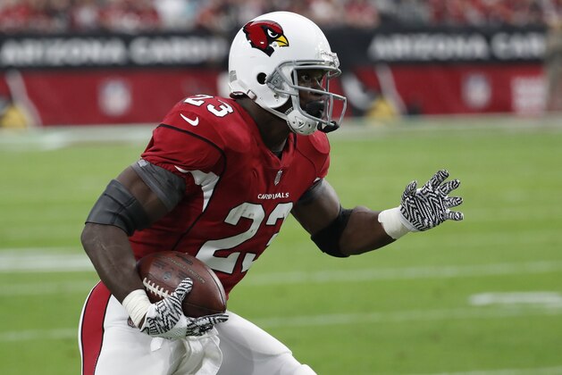 Arizona Cardinals running back Adrian Peterson (23) during the second half of an NFL football game against the Jacksonville Jaguars, Sunday, Nov. 26, 2017, in Glendale, Ariz. (AP Photo/Rick Scuteri)