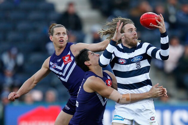 GEELONG, AUSTRALIA - AUGUST 18:  Cameron Guthrie of the Cats gathers the ball during the round 22 AFL match between the Geelong Cats and the Fremantle Dockers at GMHBA Stadium on August 18, 2018 in Geelong, Australia.  (Photo by Darrian Traynor/Getty Images)