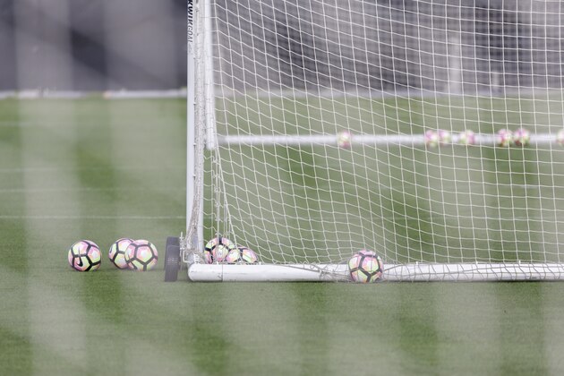 SAN JOSE, CA - MARCH 23:  A detail view of the soccer training field at Avaya Stadium where the United States Men's National Team trained before a FIFA 2018 World Cup Qualifier match against Honduras to be played March 24, 2017 at Avaya Stadium in San Jose, California.  (Photo by David Madison/Getty Images)