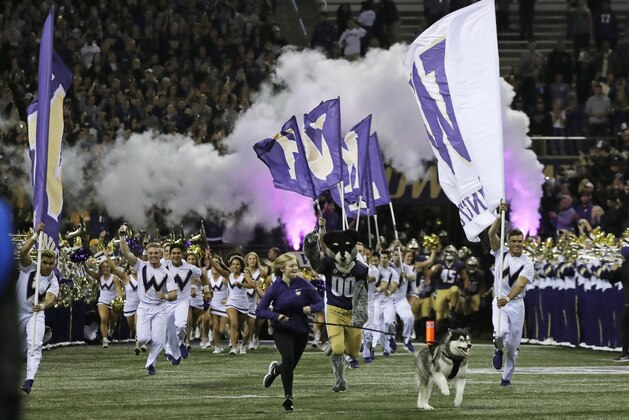 Dubs II, the Washington Huskies live mascot, leads the team out of the tunnel for an NCAA college football game against Arizona State, Saturday, Sept. 22, 2018, in Seattle. (AP Photo/Ted S. Warren)