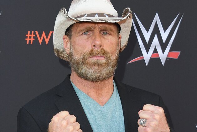 NORTH HOLLYWOOD, CA - JUNE 06:  Shawn Michaels attends WWE's First-Ever Emmy 'For Your Consideration' Event at Saban Media Center on June 6, 2018 in North Hollywood, California.  (Photo by Jon Kopaloff/Getty Images)