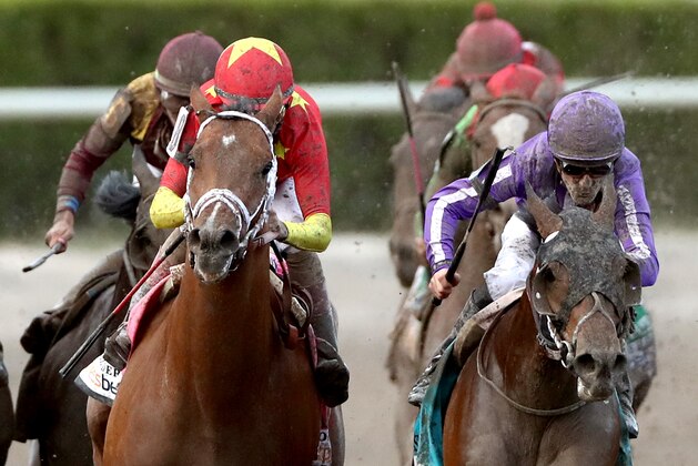 HALLANDALE, FL - MARCH 31: Audible #8, riden by John Valesquez, battles Catholic Boy #6, riden by Irad Ortiz Jr, out of turn four during the Florida Derby at Gulfstream Park on March 31, 2018 in Hallandale, Florida. (Photo by Matthew Stockman/Getty Images)
