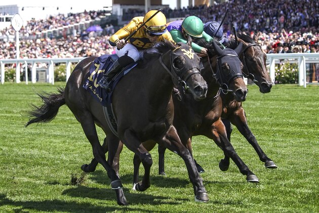 ASCOT, ENGLAND - JUNE 21: Joel Rossario riding Shang Shang Shang (L, gold) win The Norfolk Stakes on day 3 of Royal Ascot at Ascot Racecourse on June 21, 2018 in Ascot, England. (Photo by Alan Crowhurst/Getty Images for Ascot Racecourse)