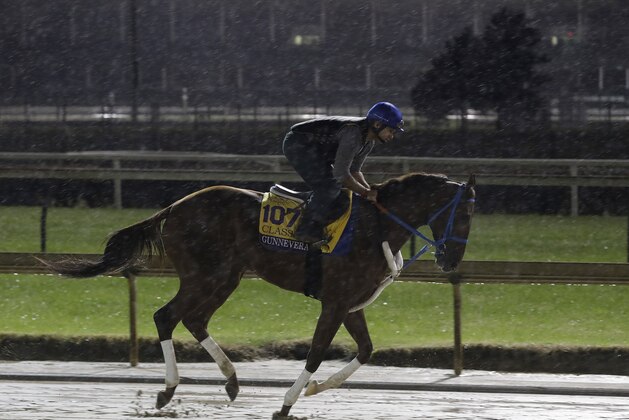 Exercise rider Victor O'Farrel rides Gunnevera during morning workouts for the Breeders Cup horse races at Churchill Downs, Thursday, Nov. 1, 2018, in Louisville, Ky. (AP Photo/Darron Cummings)