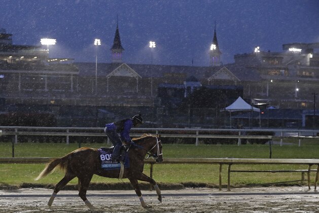 An exercise rider rides King of Speed during morning workouts before the Breeders Cup horse races at Churchill Downs, Thursday, Nov. 1, 2018, in Louisville, Ky. (AP Photo/Darron Cummings)