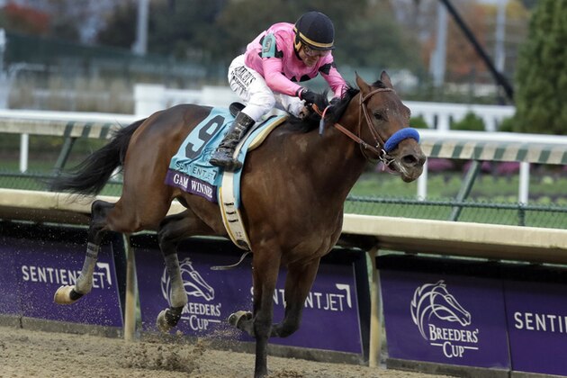 Joel Rosario rides Game Winner to victory in the Breeders' Cup Juvenile horse race at Churchill Downs, Friday, Nov. 2, 2018, in Louisville, Ky. (AP Photo/Darron Cummings)