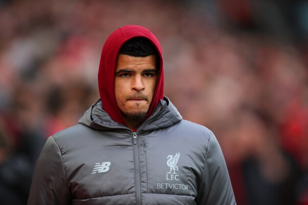 LIVERPOOL, ENGLAND - OCTOBER 07: Dominic Solanke of Liverpool during the Premier League match between Liverpool FC and Manchester City at Anfield on October 7, 2018 in Liverpool, United Kingdom. (Photo by Robbie Jay Barratt - AMA/Getty Images)