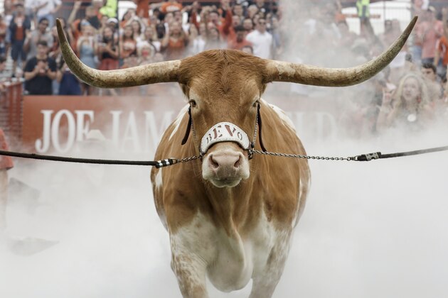 AUSTIN, TX - SEPTEMBER 22:  Texas Longhorns mascot Bevo XV enters the stadium before the game against the TCU Horned Frogs at Darrell K Royal-Texas Memorial Stadium on September 22, 2018 in Austin, Texas.  (Photo by Tim Warner/Getty Images)