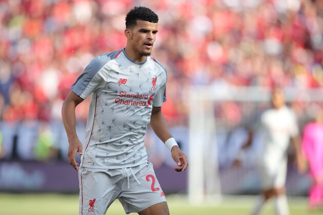 ANN ARBOR, MI - JULY 28: Dominic Solanke of Liverpool during the International Champions Cup 2018 match between Manchester Untied and Liverpool at Michigan Stadium on July 28, 2018 in Ann Arbor, Michigan. (Photo by Matthew Ashton - AMA/Getty Images)