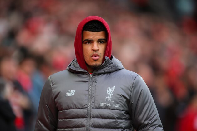 LIVERPOOL, ENGLAND - OCTOBER 07: Dominic Solanke of Liverpool during the Premier League match between Liverpool FC and Manchester City at Anfield on October 7, 2018 in Liverpool, United Kingdom. (Photo by Robbie Jay Barratt - AMA/Getty Images)