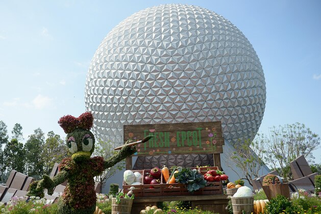 ORLANDO, FL - MAY 11:  General view of Epcot International Flower And Garden Festival at Epcot Center at Walt Disney World on May 11, 2016 in Orlando, Florida.  (Photo by Gustavo Caballero/Getty Images)