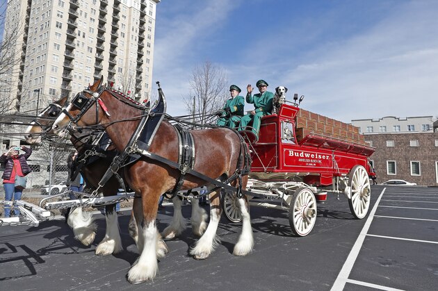 IMAGES DISTRIBUTED FOR  BUDWEISER - The iconic Budweiser Clydesdales bring more than horsepower to the City of Atlanta as the brand donates clean electricity to the host city for Super Bowl weekend on Friday, Feb. 1, 2019, in Atlanta. (Tyler Kaufman/AP Images for Budweiser)