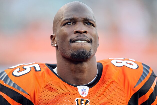 CINCINNATI - NOVEMBER 21:  Chad Ochocinco #85 of the Cincinnati Bengals watches the final minute of the Bengals 49-31 loss to the Buffalo Bills at Paul Brown Stadium on November 21, 2010 in Cincinnati, Ohio.  (Photo by Andy Lyons/Getty Images)