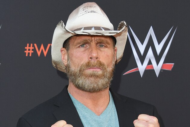 NORTH HOLLYWOOD, CA - JUNE 06:  Shawn Michaels attends WWE's First-Ever Emmy 'For Your Consideration' Event at Saban Media Center on June 6, 2018 in North Hollywood, California.  (Photo by Jon Kopaloff/Getty Images)