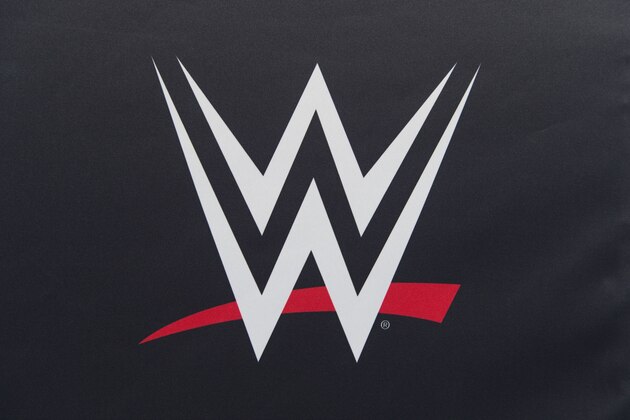 COLOGNE, GERMANY - NOVEMBER 07: A WWE Logo at the WWE Live Tryout  at the Motorworld on November 7, 2018 in Cologne, Germany. (Photo by Marc Pfitzenreuter/Getty Images)
