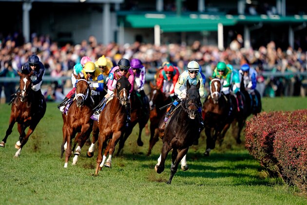LOUISVILLE, KY - NOVEMBER 03:  The horses round the first turn of the Longines Breeders' Cup Turf on the second day of the Breeders' Cup at Churchill Downs on November 3, 2018 in Louisville, Kentucky.  (Photo by Bobby Ellis/Getty Images)