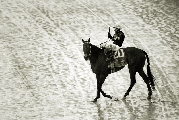 LOUISVILLE, KY - MAY 05:  (Editor's Note: This image has been converted to black and white)  Combatant #20, with Ricardo Santana, Jr. aboard, turns back toward the paddock after competing in the 144th Kentucky Derby at Churchill Downs on May 5, 2018 in Louisville, Kentucky.  (Photo by Jamie Squire/Getty Images)