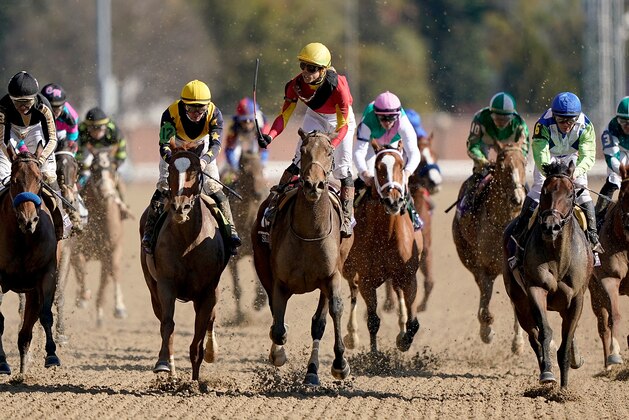 LOUISVILLE, KY - NOVEMBER 03:  Iran Ortiz, Jr. rides Shamrock Rose to victory in the Breeders' Cup Filly and Mare Sprint on the second day of the Breeders' Cup at Churchill Downs on November 3, 2018 in Louisville, Kentucky.  (Photo by Bobby Ellis/Getty Images)