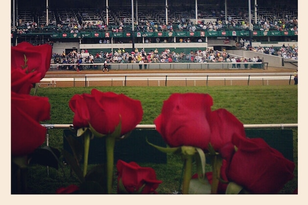 LOUISVILLE, KY - MAY 5: (EDITOR'S NOTE: Image was shot with a cellular phone using Instagram)  A detail of roses during the 138th running of the Kentucky Derby on May 5, 2012 at Churchill Downs in Louisville, Kentucky.(Photo by Jamie Squire/Getty Images)