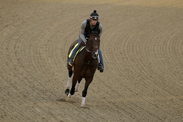 Exercise rider Taylor Cambra rides Kentucky Derby entrant Omaha Beach during a workout at Churchill Downs Wednesday, May 1, 2019, in Louisville, Ky. The 145th running of the Kentucky Derby is scheduled for Saturday, May 4. (AP Photo/Charlie Riedel)