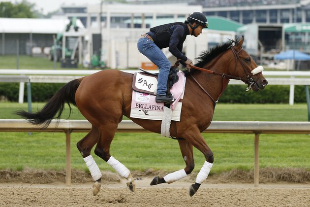 LOUISVILLE, KENTUCKY - APRIL 30: Bellafina trains on the track during morning workouts in preparation for the 145th running of the Kentucky Oaks at Churchill Downs on April 30, 2019 in Louisville, Kentucky. (Photo by Michael Reaves/Getty Images)