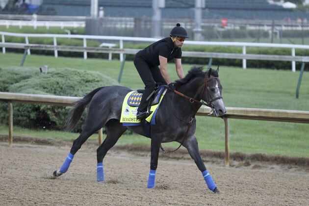 Roadster is seen during morning training at Churchill Downs Thursday, May 2, 2019, in Louisville, Ky. The 145th running of the Kentucky Derby is scheduled for Saturday, May 4. (AP Photo/Gregory Payan)