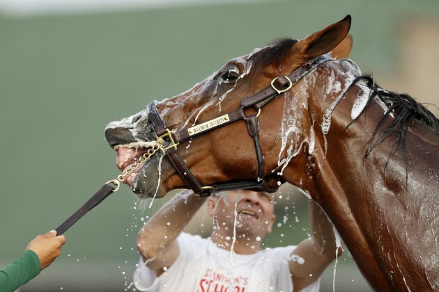 LOUISVILLE, KENTUCKY - MAY 02: Maximum Security is washed in the barn area after morning workouts in preparation for the 145th running of the Kentucky Derby at Churchill Downs on May 2, 2019 in Louisville, Kentucky. (Photo by Michael Reaves/Getty Images) LOUISVILLE, KENTUCKY - MAY 02: Maximum Security is washed in the barn area after morning workouts in preparation for the 145th running of the Kentucky Derby at Churchill Downs on May 2, 2019 in Louisville, Kentucky. (Photo by Michael Reaves/Getty Images)