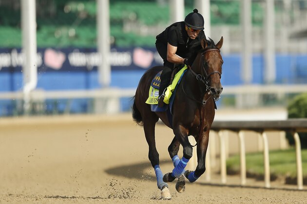 LOUISVILLE, KENTUCKY - MAY 02: Game Winner trains on the track during morning workouts in preparation for the 145th running of the Kentucky Derby at Churchill Downs on May 2, 2019 in Louisville, Kentucky. (Photo by Michael Reaves/Getty Images)