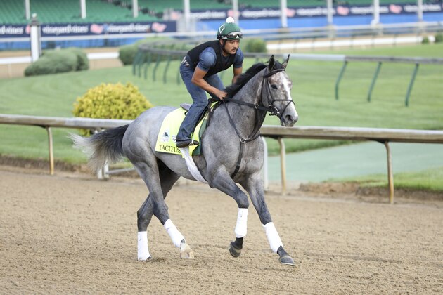 Tacitus is seen during morning training at Churchill Downs Thursday, May 2, 2019, in Louisville, Ky. The 145th running of the Kentucky Derby is scheduled for Saturday, May 4. (AP Photo/Gregory Payan)