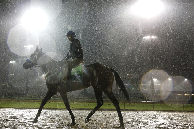 LOUISVILLE, KENTUCKY - MAY 03: A horse trains on the track during morning workouts in preparation for the 145th running of the Kentucky Derby at Churchill Downs on May 3, 2019 in Louisville, Kentucky. (Photo by Michael Reaves/Getty Images)