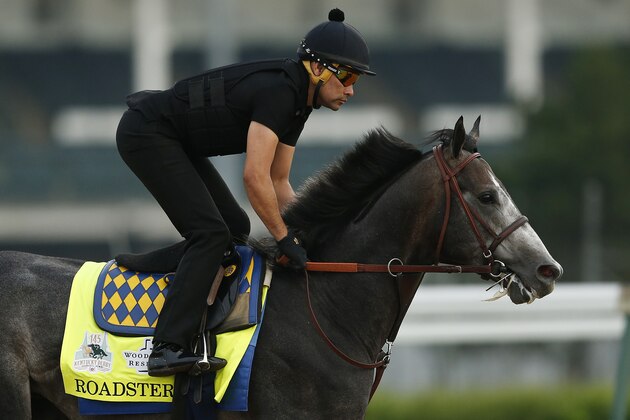 LOUISVILLE, KENTUCKY - MAY 02:  Roadster trains on the track during morning workouts in preparation for the 145th running of the Kentucky Derby at Churchill Downs on May 2, 2019 in Louisville, Kentucky. (Photo by Michael Reaves/Getty Images)