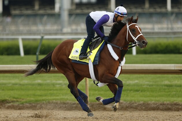 LOUISVILLE, KENTUCKY - MAY 01:  Maximum Security trains on the track during morning workouts in preparation for the 145th running of the Kentucky Derby at Churchill Downs on May 1, 2019 in Louisville, Kentucky. (Photo by Michael Reaves/Getty Images)
