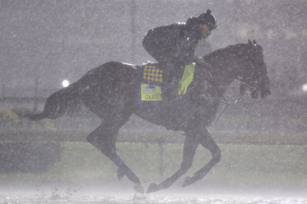 LOUISVILLE, KENTUCKY - MAY 03: Game Winner trains on the track during morning workouts in preparation for the 145th running of the Kentucky Derby at Churchill Downs on May 3, 2019 in Louisville, Kentucky. (Photo by Michael Reaves/Getty Images)
