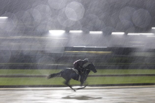 LOUISVILLE, KENTUCKY - MAY 03: A horse trains on the track during morning workouts in preparation for the 145th running of the Kentucky Derby at Churchill Downs on May 3, 2019 in Louisville, Kentucky. (Photo by Michael Reaves/Getty Images)