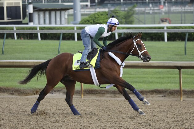 Maximum Security is seen during morning training at Churchill Downs Thursday, May 2, 2019, in Louisville, Ky. The 145th running of the Kentucky Derby is scheduled for Saturday, May 4. (AP Photo/Gregory Payan)