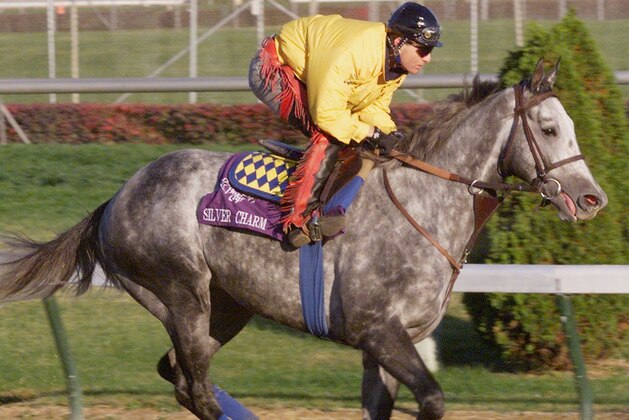LOUISVILLE, :  Exercise rider Larry Damore rides 1997 Kentucky Derby winner Silver Charm, the favorite for the Breeders' Cup Classic, 05 November during morning workouts for the Cup Classic at Churchill Downs in Louisville, KY.  The Breeders' Cup races will be held 07 November.      (ELECTRONIC IMAGE)   AFP PHOTO/Jeff HAYNES (Photo credit should read JEFF HAYNES/AFP/Getty Images)